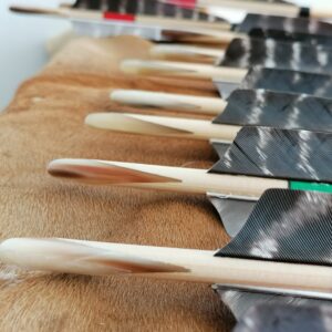 Flèches - Champagne Arrows