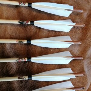 Flèches - Champagne Arrows