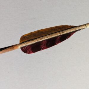 PXL_20251121_105127860