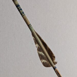 PXL_20251121_105354220