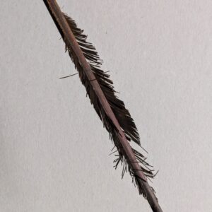 PXL_20251121_105540589