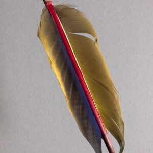 PXL_20251121_110043161