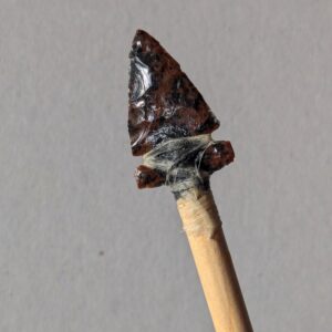 PXL_20251121_110159972