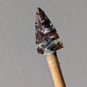 PXL_20251121_110207785